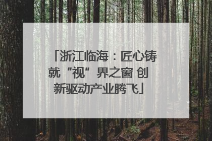 浙江临海：匠心铸就“视”界之窗 创新驱动产业腾飞