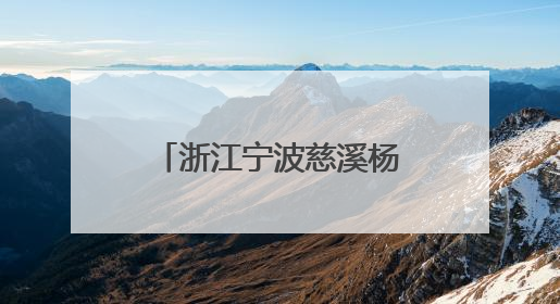 浙江宁波慈溪杨梅迎采摘旺季