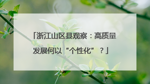 浙江山区县观察：高质量发展何以“个性化”？