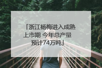 浙江杨梅进入成熟上市期 今年总产量预计74万吨