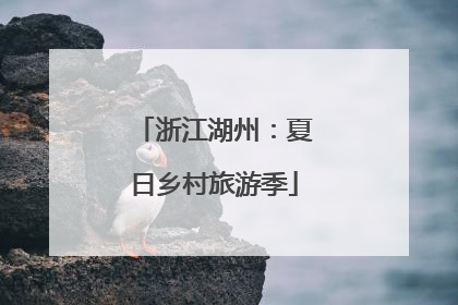 浙江湖州：夏日乡村旅游季
