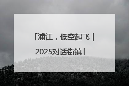 浦江，低空起飞｜2025对话街镇