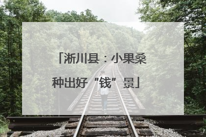 淅川县：小果桑种出好“钱”景