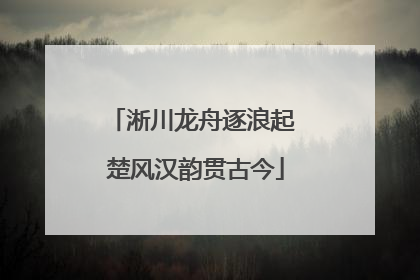 淅川龙舟逐浪起 楚风汉韵贯古今