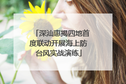 深汕惠揭四地首度联动开展海上防台风实战演练