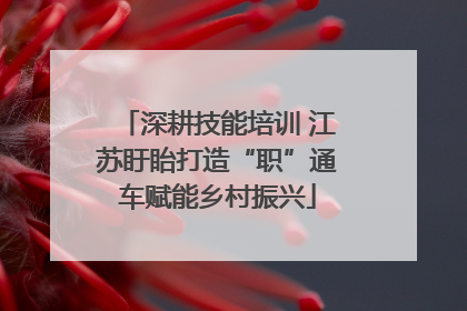 深耕技能培训 江苏盱眙打造“职”通车赋能乡村振兴