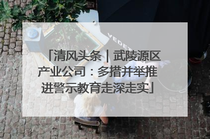 清风头条｜武陵源区产业公司：多措并举推进警示教育走深走实