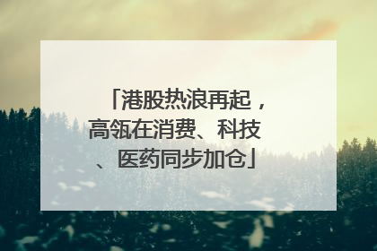 港股热浪再起，高瓴在消费、科技、医药同步加仓