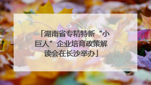 湖南省专精特新“小巨人”企业培育政策解读会在长沙举办