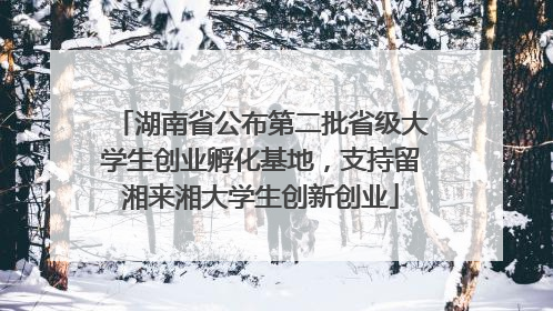 湖南省公布第二批省级大学生创业孵化基地，支持留湘来湘大学生创新创业