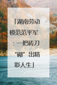 湖南劳动模范范平军：一把砖刀“砌”出精彩人生
