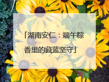 湖南安仁：端午粽香里的藏蓝坚守