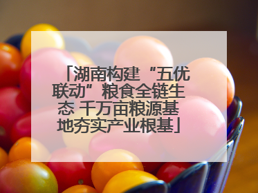 湖南构建“五优联动”粮食全链生态 千万亩粮源基地夯实产业根基