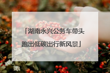 湖南永兴公务车带头跑出低碳出行新风景