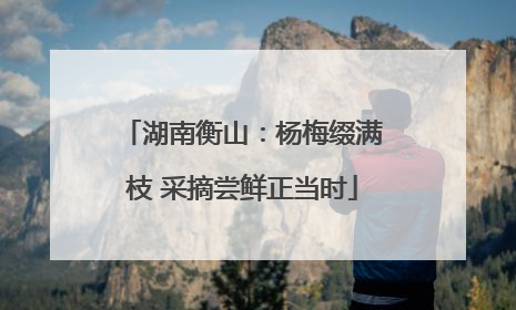 湖南衡山：杨梅缀满枝 采摘尝鲜正当时