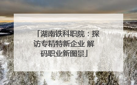 湖南铁科职院：探访专精特新企业 解码职业新图景
