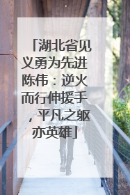湖北省见义勇为先进陈伟：逆火而行伸援手，平凡之躯亦英雄