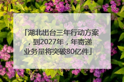 湖北出台三年行动方案，到2027年，年寄递业务量将突破80亿件