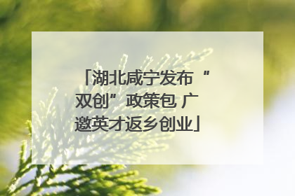 湖北咸宁发布“双创”政策包 广邀英才返乡创业