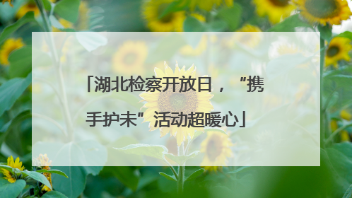 湖北检察开放日，“携手护未”活动超暖心