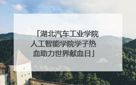 湖北汽车工业学院人工智能学院学子热血助力世界献血日