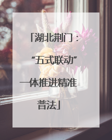 湖北荆门：“五式联动”一体推进精准普法
