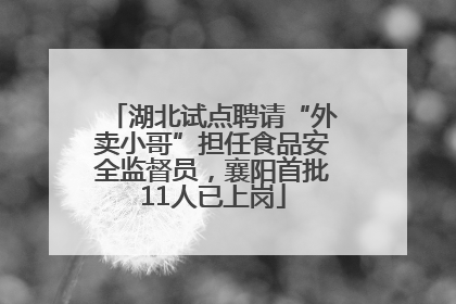 湖北试点聘请“外卖小哥”担任食品安全监督员，襄阳首批11人已上岗