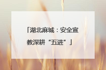 湖北麻城：安全宣教深耕“五进”