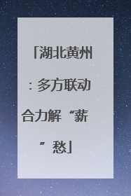 湖北黄州:多方联动合力解“薪”愁