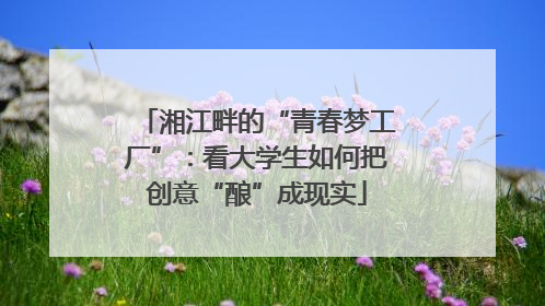 湘江畔的“青春梦工厂”：看大学生如何把创意“酿”成现实