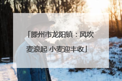 滕州市龙阳镇：风吹麦浪起 小麦迎丰收