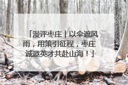 漫评枣庄｜以伞遮风雨，用策引征程，枣庄诚邀英才共赴山海！