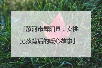 漯河市舞阳县：卖桃男孩背后的暖心故事