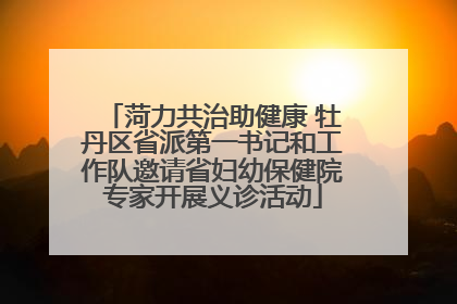 菏力共治助健康 牡丹区省派第一书记和工作队邀请省妇幼保健院专家开展义诊活动