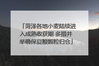 菏泽各地小麦陆续进入成熟收获期 多措并举确保夏粮颗粒归仓