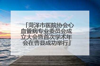菏泽市医院协会心血管病专业委员会成立大会暨首次学术年会在曹县成功举行