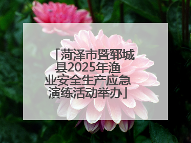 菏泽市暨郓城县2025年渔业安全生产应急演练活动举办