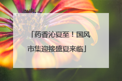 药香沁夏至！国风市集迎接盛夏来临