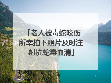 老人被毒蛇咬伤 所幸拍下照片及时注射抗蛇毒血清