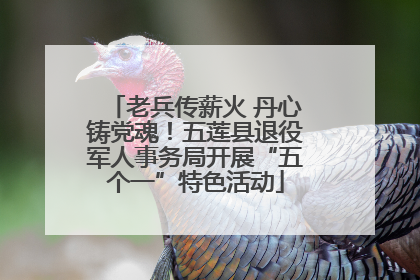 老兵传薪火 丹心铸党魂！五莲县退役军人事务局开展“五个一”特色活动
