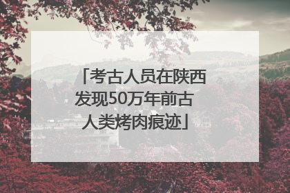 考古人员在陕西发现50万年前古人类烤肉痕迹