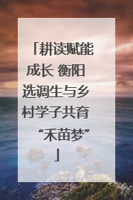 耕读赋能成长 衡阳选调生与乡村学子共育“禾苗梦”