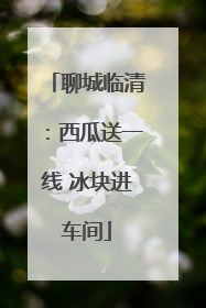 聊城临清：西瓜送一线 冰块进车间