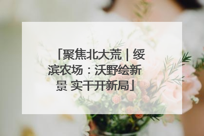 聚焦北大荒｜绥滨农场：沃野绘新景 实干开新局