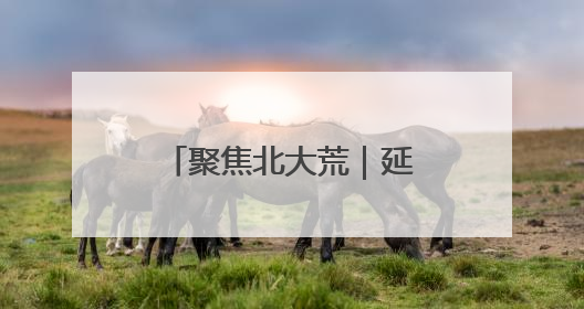 聚焦北大荒｜延军农场：特色种植带旺多元业态 土地焕发新活力