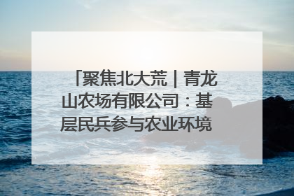 聚焦北大荒｜青龙山农场有限公司：基层民兵参与农业环境综合治理显效