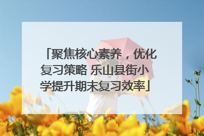 聚焦核心素养，优化复习策略 乐山县街小学提升期末复习效率