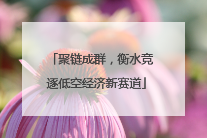 聚链成群，衡水竞逐低空经济新赛道