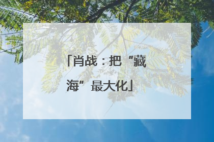 肖战：把“藏海”最大化