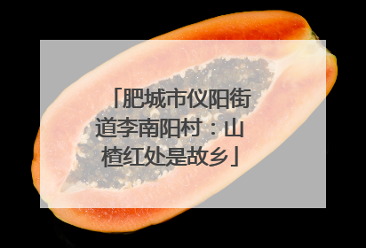 肥城市仪阳街道李南阳村：山楂红处是故乡